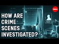 Fingerprint Analysis and Its Role in Crime Investigation
