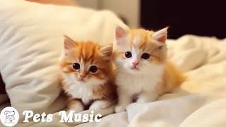 EXTREMELY Soothing Cat Therapy Music  Relax Your Cat! Cat Music  Music to Help Your Kitty Sleep