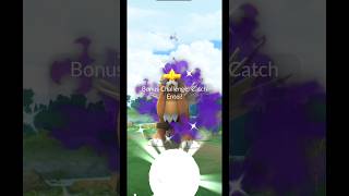 First raid luck hit different ✨🔥 #ShinyEntei #PokemonGORaid #shiny #shadowEntei #pokemongo