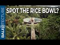 Is this the ULTIMATE Jungle Property? (You Won't Want To Leave!)