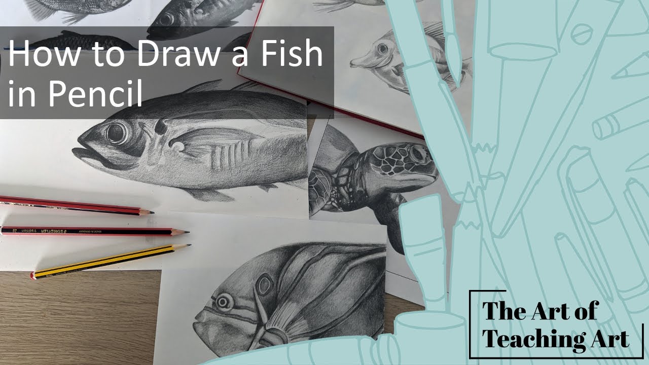 How to Draw a Fish in Pencil with Tone - YouTube