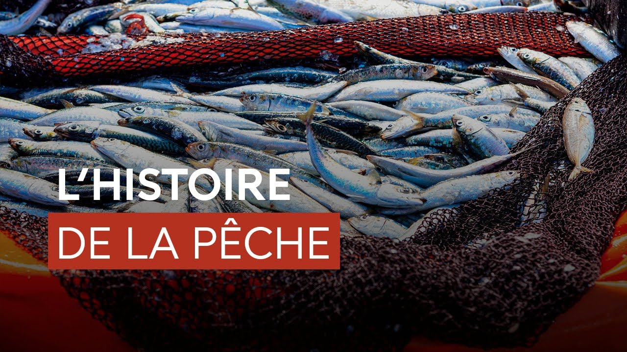 Colloque L'océan à table 1/2 #ocean