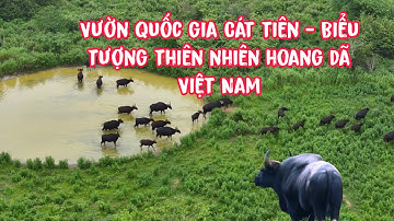 Vườn quốc gia Cát Tiên, Biểu tượng của thiên nhiên hoang dã Việt Nam.