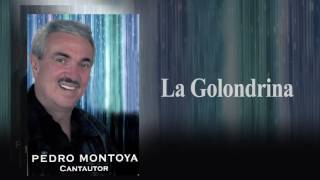 La Golondrina   Pedro Montoya