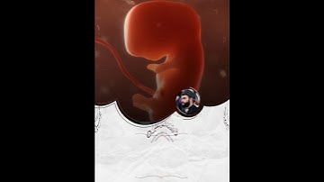 وَالتِّينِ وَالزَّيْتُونِ | حالات واتس أب قران كريم - بصوت القارئ پيشة قادر الكردي