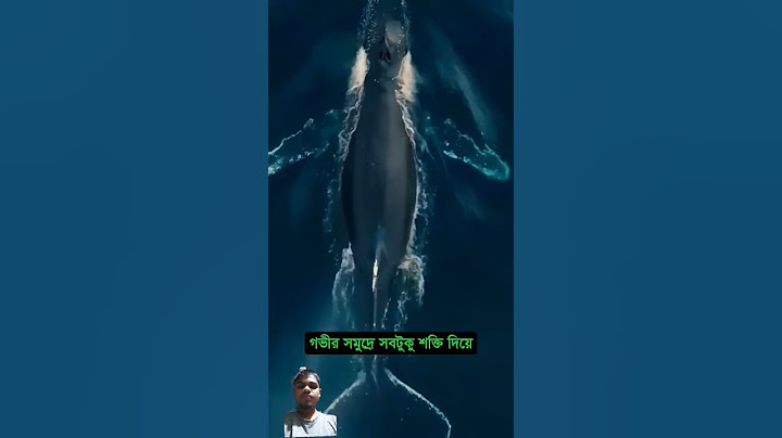 নীল তিমির মৃত্যুর পর বিস্মকরভাবে যা ঘটে #mayajaal #unkonwnfacts #blue