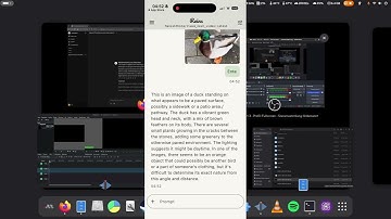 OpenWebUi Local AI GUI test on Debian 13