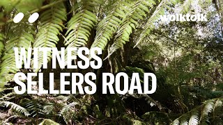 Forest Meditation - Sellers Road - Vol. III