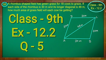 Class - 9th, Maths Ex - 12.2 Q - 5 ( Heron