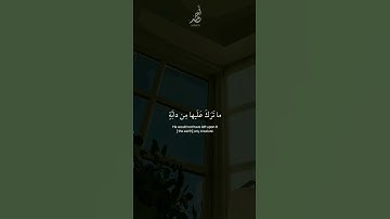 سورة النحل | القارئ : #عبدالرحمن_مسعد #quran #راحة_نفسية #viral #foryou #اجر_لي_ولكم 🤍.