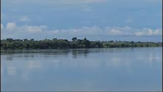 Download lagu Paisagens da Cheia do Rio Araguaia 2025 | Beleza Natural em Barreira dos Campos - PA