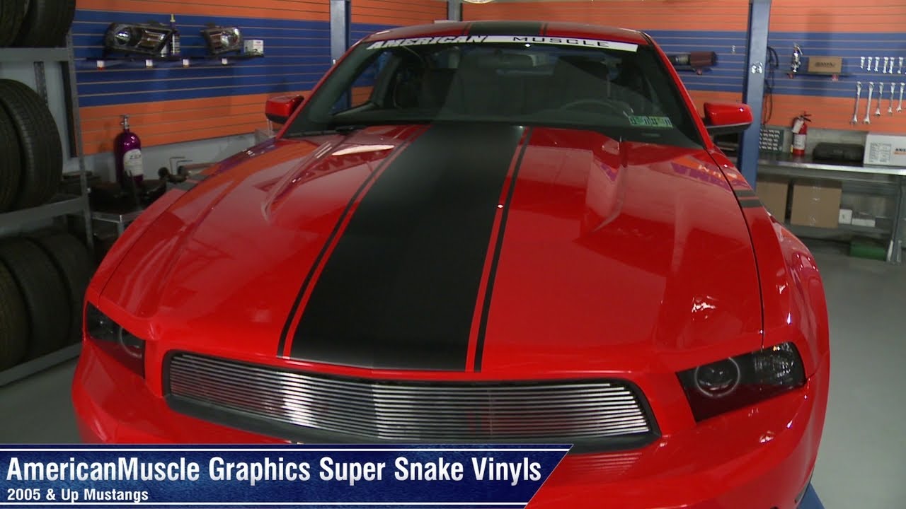 05 06 07 08 09 Mustang 22/" Wide Center Rally Stripe Stripes Decal Decals Graphic