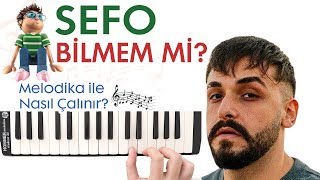 Sefo - BİLMEM Mİ Melodika Notaları - Ses Veriyorum Resimi