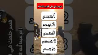 طيور تدل علي الخير بالمنام ام_عبدالله تفسير_الأحلام تفسير_رؤية فسرحلمك youtubeshorts