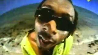 Baha men-Who let the dogs out (official).