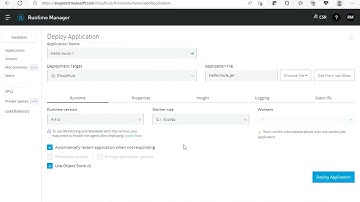 Anypoint Platform CloudHub Deployment 1.0