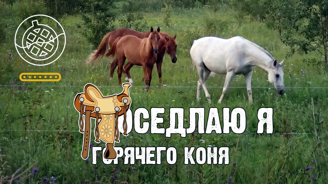 Ременный разделитель с конской сбруи - YouTube