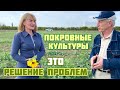 Покровные культуры - это путь решения проблем с почвой