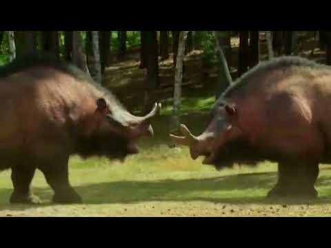 Megacerops Rhinos Fight | Life On Our Planet Chapter 7