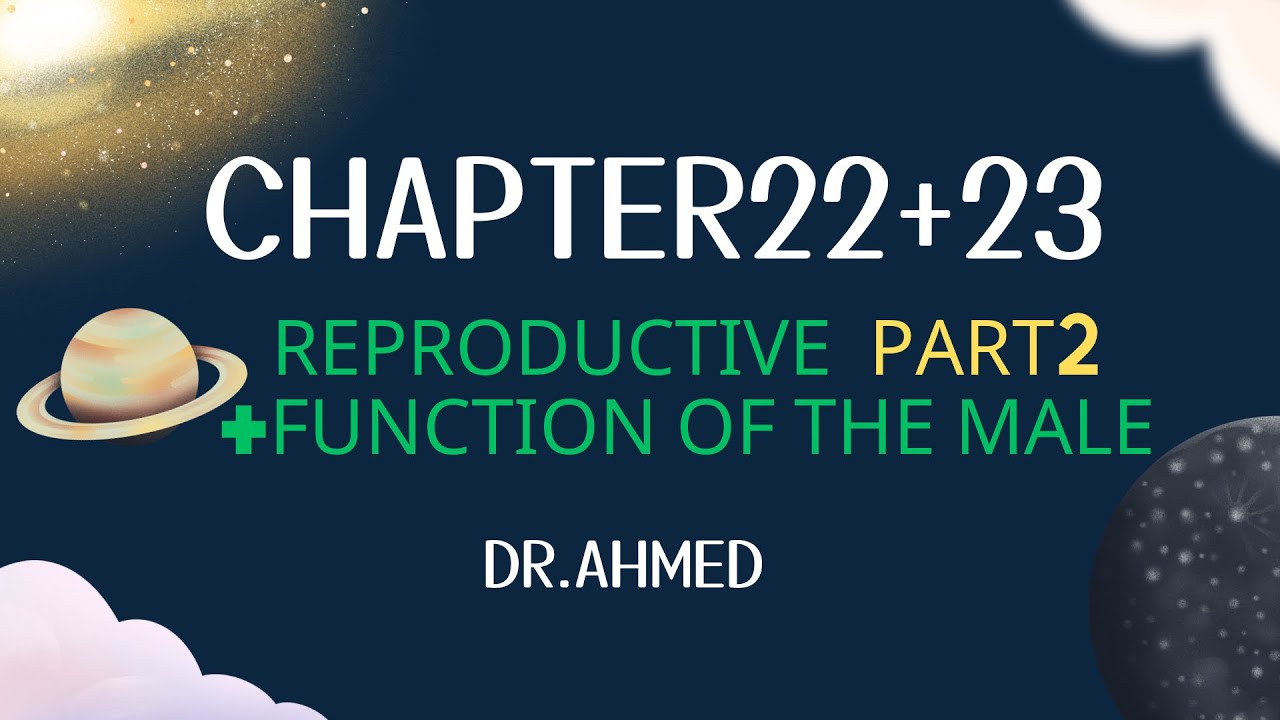 فسلجة | بلاد الرافدين | الوزاري | المحاضرة السابعة  |  دكتور احمد حازم
