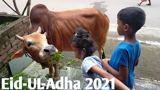 Eid Mubarak 2021|| Eid UL Adha 2021 || Eid vlog || twins playing with cow 🐮|| mixed twins by mixed twins 303 views 2 years ago 2 minutes, 7 seconds