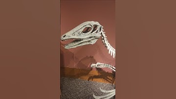 Xenomorph raptor? Odd Dinosaur skeleton model