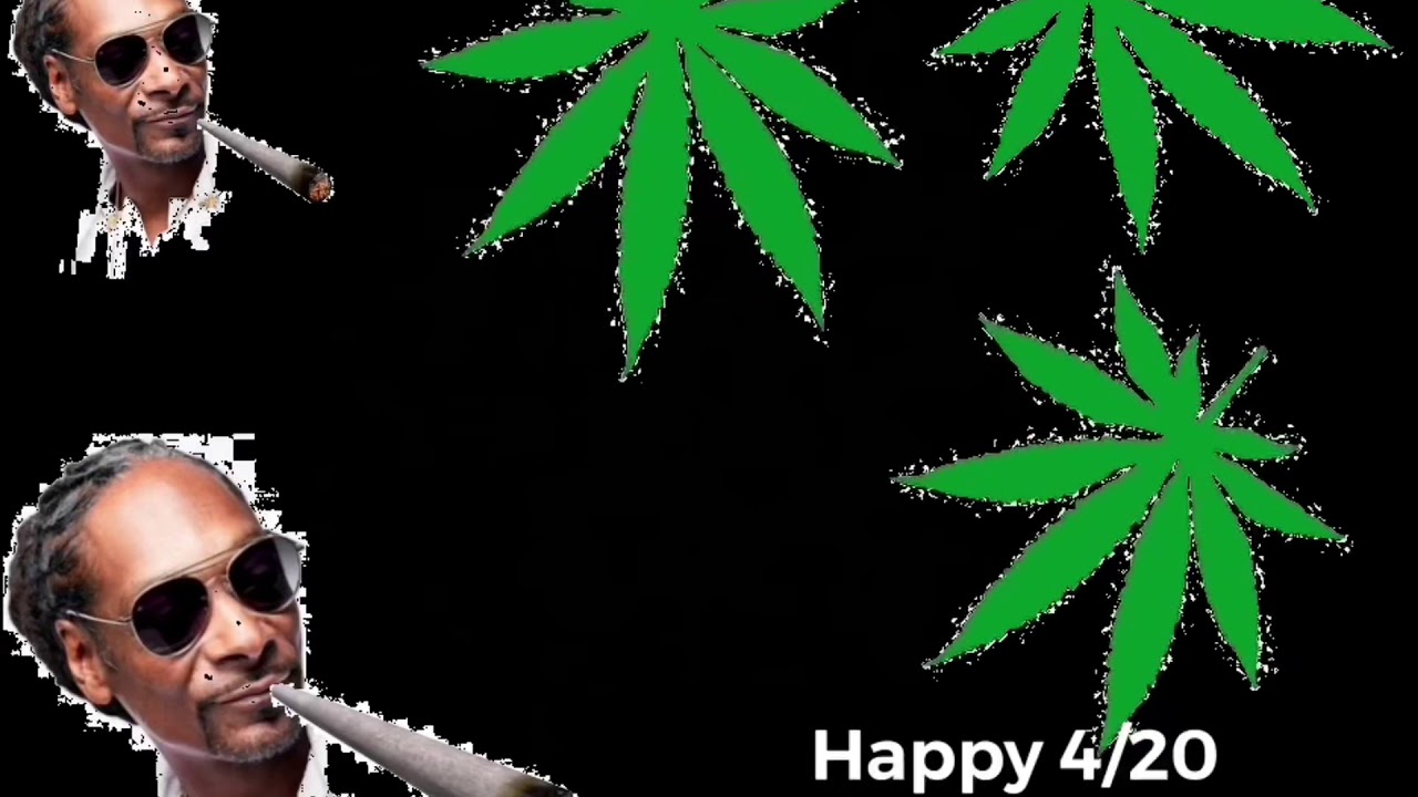 4/20 day
