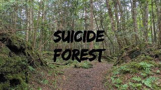 🇯🇵Aokigahara Forest / Suicide Forest