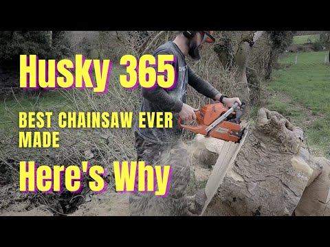 Husqvarna 365 - The Best Chainsaw Ever Made - Here's Why