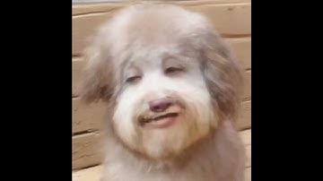 Build our machine (remix) | Bendy and the ink machine