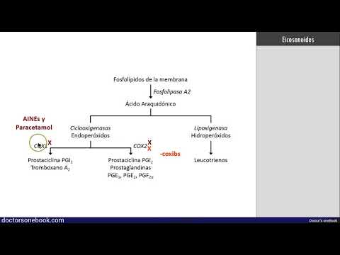 Vídeo: Un Estudio Comparativo Sobre Los Efectos Antiinflamatorios De Dosis Orales únicas De Naproxeno Y Su Derivado Liberador De Sulfuro De Hidrógeno (H2S) ATB-346 En Ratas Con Sinovitis
