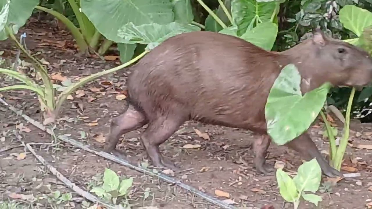 16 de janeiro de 2026