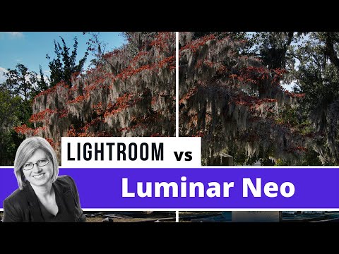 Lightroom vs Luminar