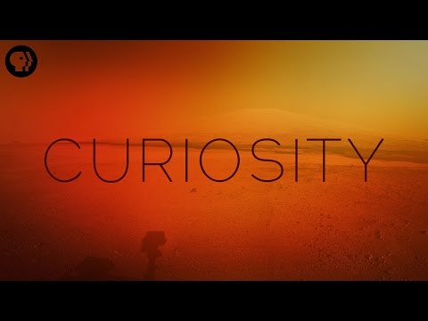 Building Curiosity