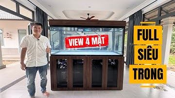 Nét căng BỘ HỒ FULL SIÊU TRONG, VIEW 4 MẶT, ỐP GỖ hài hoà với nội thất gia chủ từ team CR NGHỊ GẦY