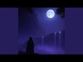 Survive The Night