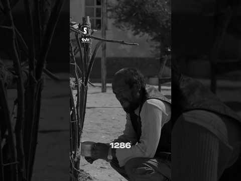 А вы уже посмотрели 1-ю серию «1286»? Делитесь впечатлениями в комментариях👇🏻