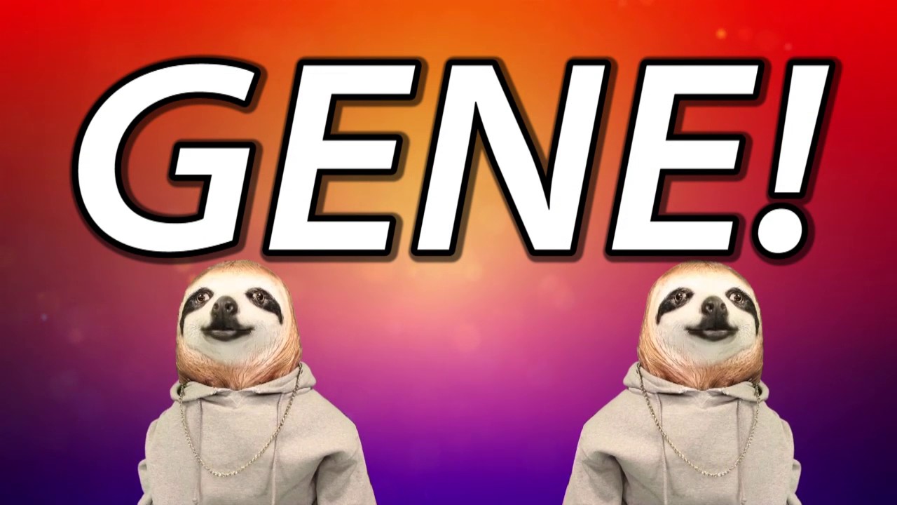 HAPPY BIRTHDAY GENE! - SLOTH HAPPY BIRTHDAY RAP