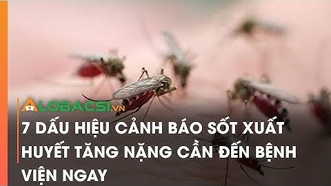 7 dấu hiệu cảnh báo sốt xuất huyết tăng nặng cần đến bệnh viện ngay