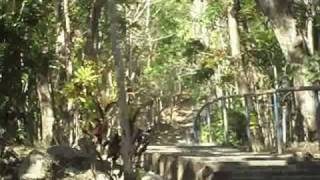 Bentspoke Dh 2010.Wmv