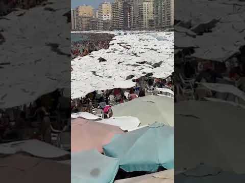أكتر شاطئ مزدحم في إسكندريه