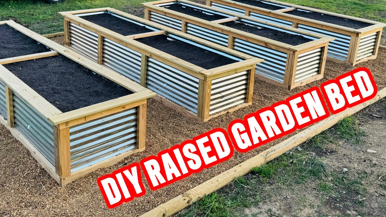 HOW TO BUILD A RAISED GARDEN BED - YouTube