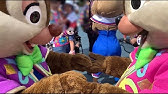 カッパを着た チップとデールと女の子クラリス ディズニーシー Youtube カッパを着た チップとデールと女の子クラリス ディズニーシー Youtube