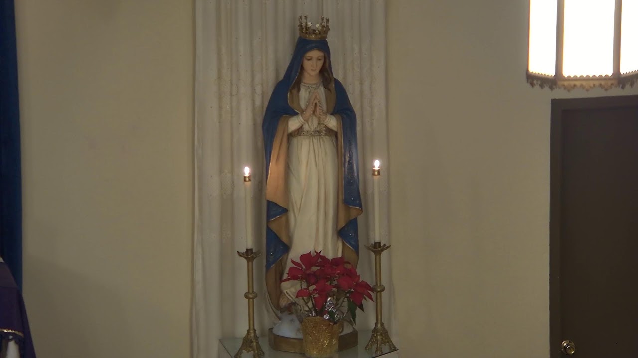 Rosary, February 11, 2026