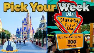 Best Time to Visit Disney World in 2026 (Crowds, Weather & Prices Explained)