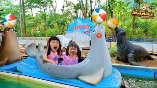 Naik Perosotan Air Anjing Laut atau Singa Laut - Jungleland Taman Hiburan Anak