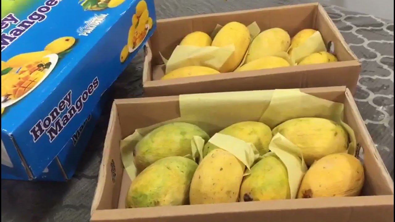 Mango season in Toronto, Canada | by Mehreen Ke Pakwaan