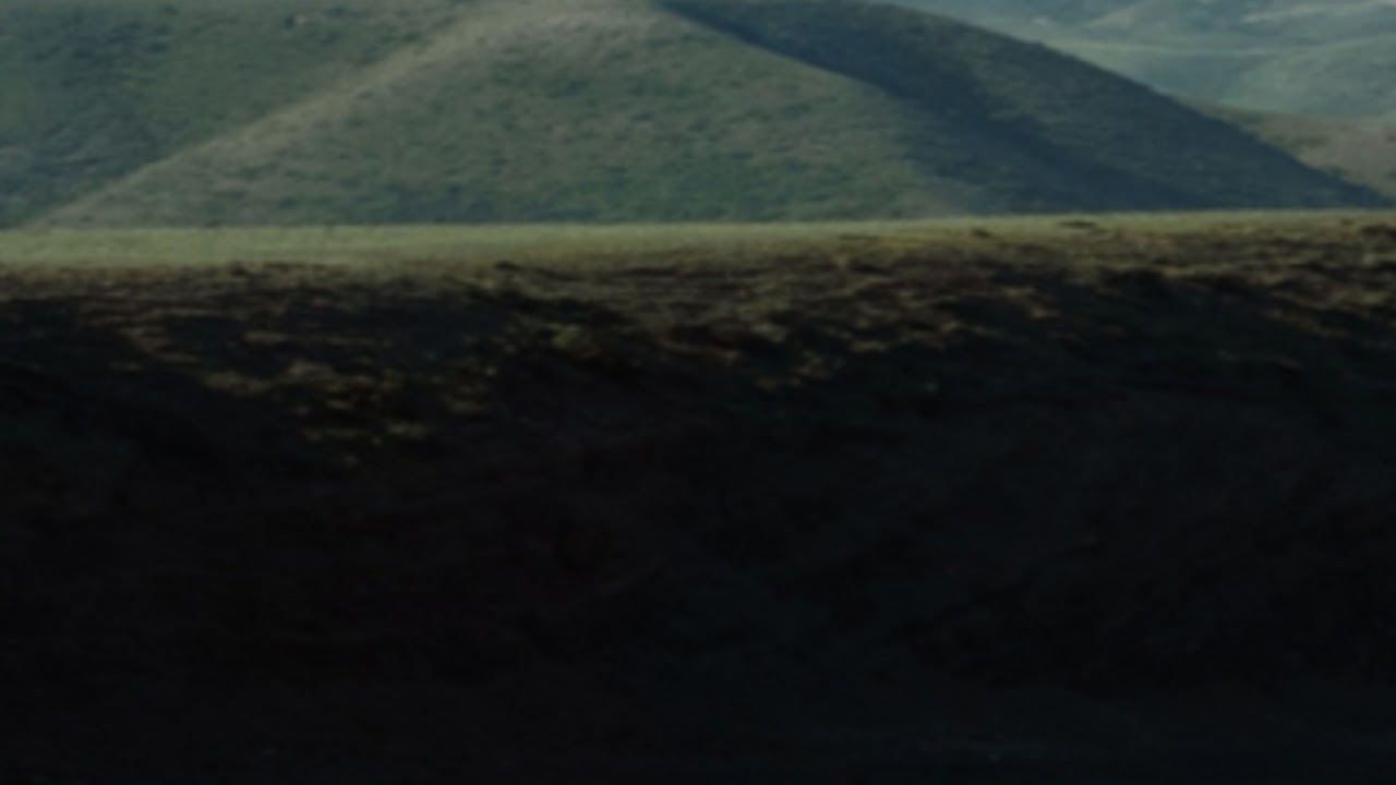 English MIR4 : 👍 Good stream | Playing Solo | Streaming with Turnip