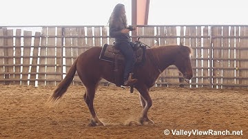 Tunderjuice - no hands spins, low headed jogs, lope-offs, stops! - ValleyViewRanch.net