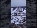 Mining the battlefield with a ground Ukrainian drone/Мінування поля бою наземним українським дроном